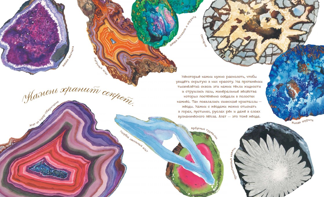 "Akmuo turi savo istoriją": pirmoji mineralų kolekcija