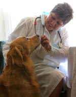 Aplankykite veterinarijos gydytoją