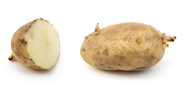 Kaip laikyti bulves žiemą