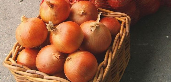 Svogūnų laikymas namuose žiemą