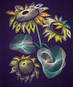 Izonit pradedantiesiems Izonit pradedantiesiems