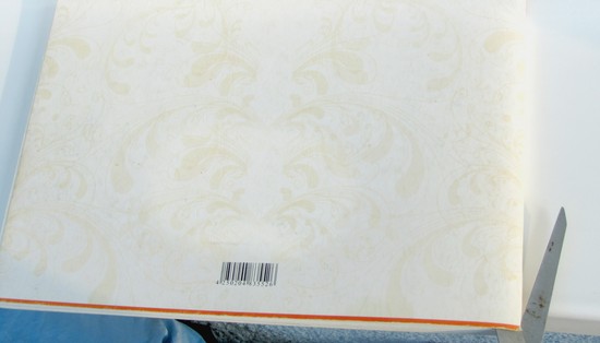 Mokydamiesi sukurti herbariumą ir albumą jam savo rankomis