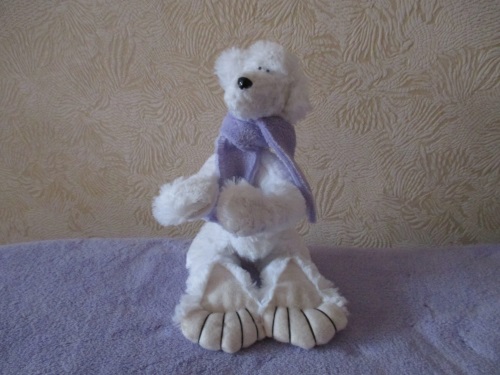 Teddy Bear žaislas