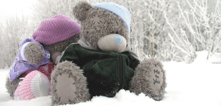 Teddy Bear žaislas