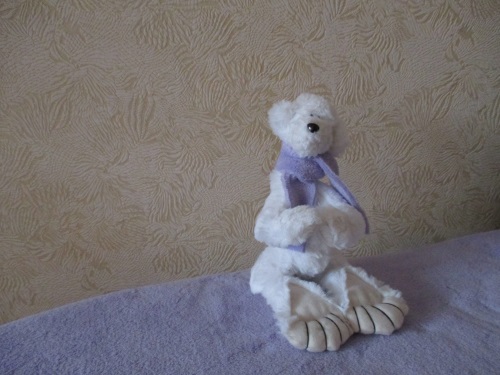 Teddy Bear žaislas