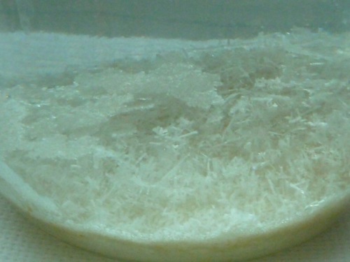Druskos kristalai namuose