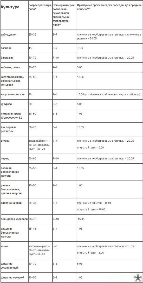 Kada auginti sodinukus atvirame lauke?