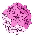 Kusudama popierius