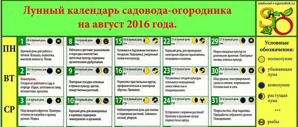 Mėnulio kalendorius vilkikų ūkininkas, rugpjūčio 2016 m. Maskvos regiono, Rusijos vidurinės zonos, Uralo, Sibiro, Šiaurės vakarų, Baltarusijos ir Ukrainos