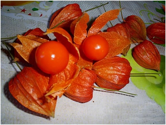 Fizalio uogos