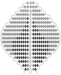 Rose iš karoliukų schema Rose iš karoliukų schema