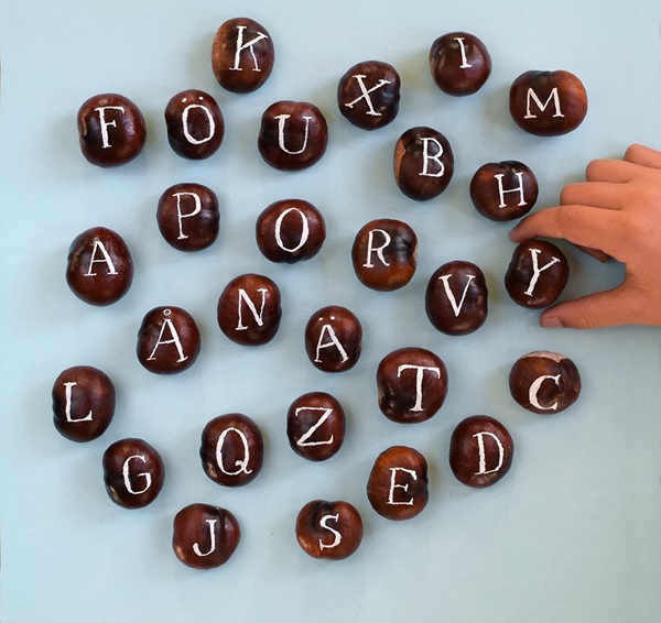 Amatų iš kaštonų apie rudenį