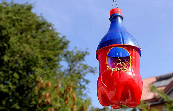Nauji amatai iš plastikinių butelių su savomis rankomis sodui ir sodui