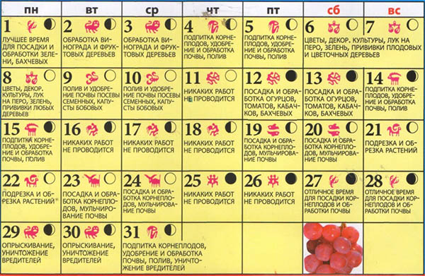 Mėnulio sėklų kalendorius 2017 m. Gegužės mėn