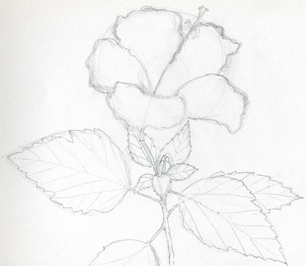 Figūra gėlė