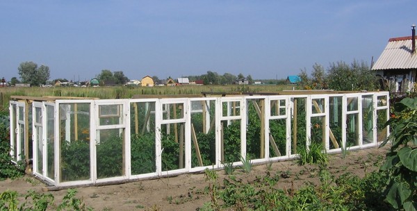 Šiltnamio efektą sukeliančių elementų iš langų rėmų savo rankomis - žingsnis po žingsnio instrukcijas su nuotraukomis ir vaizdo įrašais