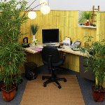 Feng shui biuras