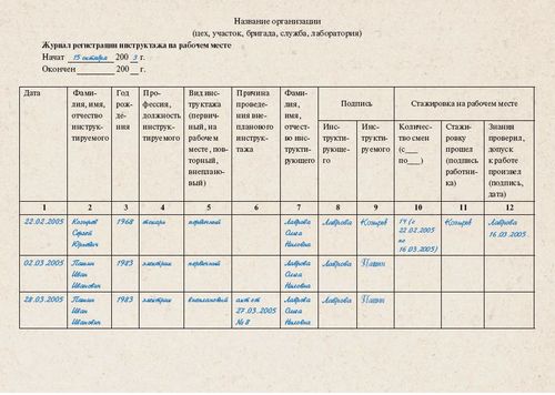 Metodiniai nurodymai ir rekomendacijos, kaip užpildyti informacinį žurnalą darbo vietoje