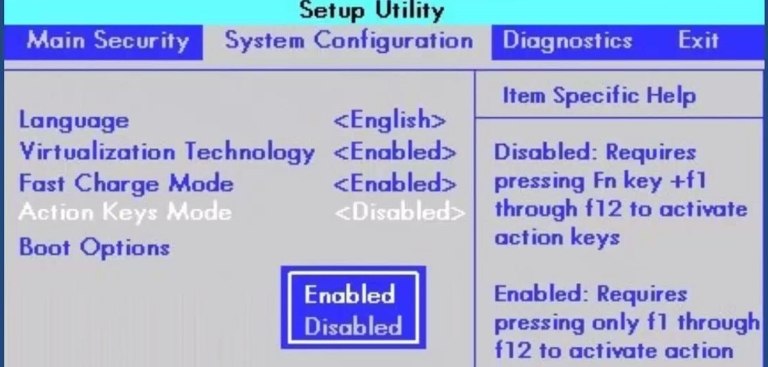 BIOS langas