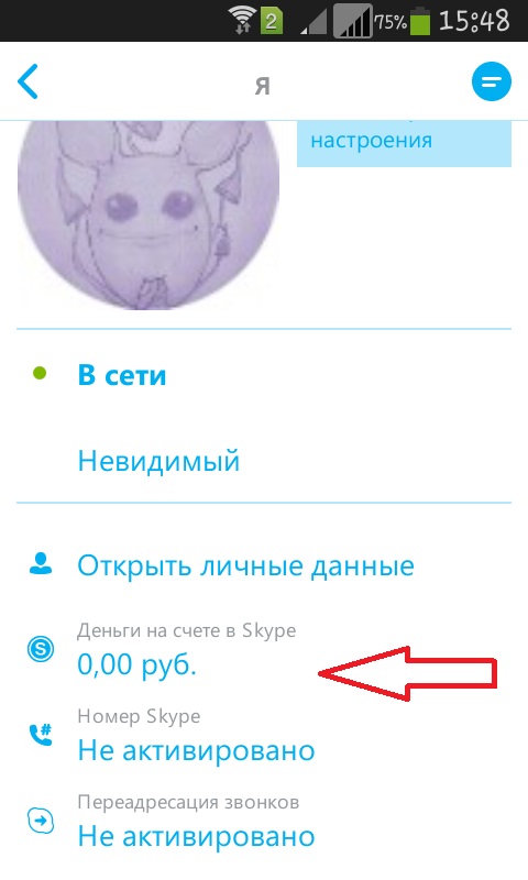 kaip naudotis "Skype" savo telefone, kaip įdiegti "skype" savo telefone.