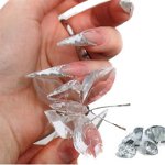 Crystal nagai 