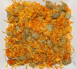 Marigold Infusion