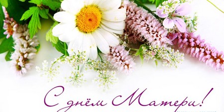2015 m. Motinos diena: švenčiama Rusijoje, eilėraščiai, dainos
