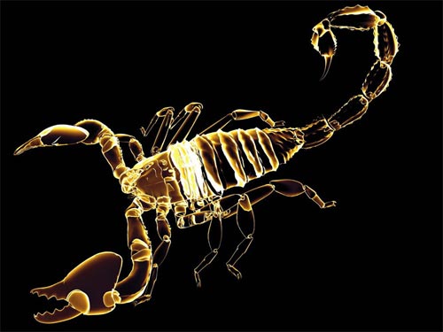 "Scorpio" 2015 m. Horoskopas