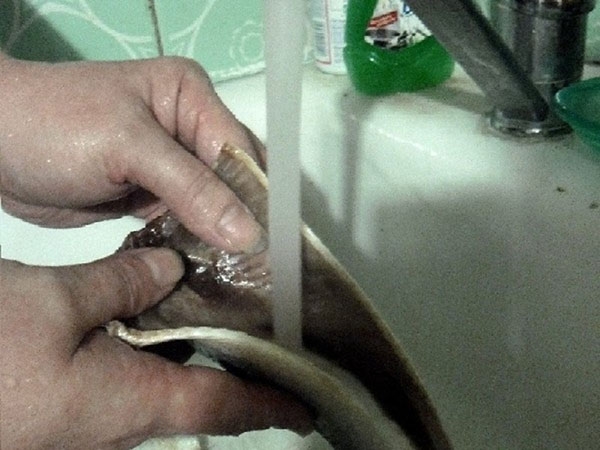 Kaip tinkamai ir greitai supjaustyti silkę iš kaulų