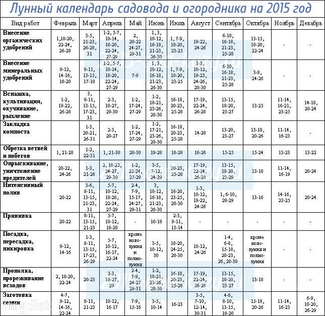 2015 m. Naminių augalų transplantacijos mėnulio kalendorius