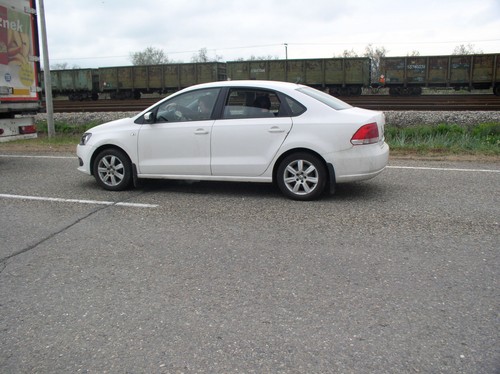 Mes einame į Krymą automobiliu su šunimi