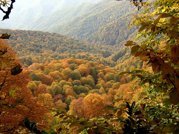 Orai Sočyje 2017 m. Spalio mėn