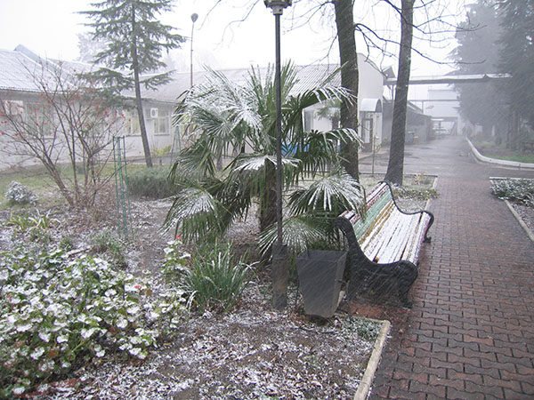 Tikslus orų prognozė Sočis orų prognozė Sekmadienis / vasario mėn. 2012 m. Sausio mėn. Mėn. - pradžios viduryje, mėnesio pabaigoje - Hydrometcenter. Sausio vandens ir oro temperatūra Sočyje 2017 m