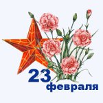 Sveikinu Tėvynės dienos gynėją eilutėje