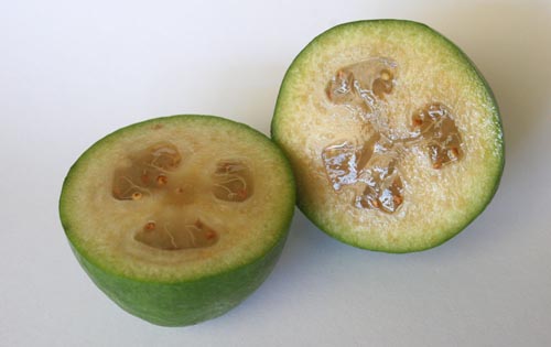 Feijoa su medumi, receptas su nuotrauka