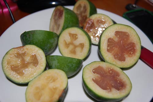 Feijoa su medumi, receptas su nuotrauka