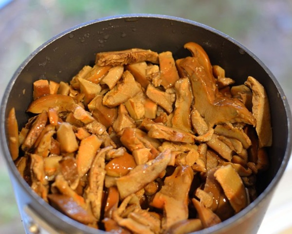 Kaip užsigerti grybus
