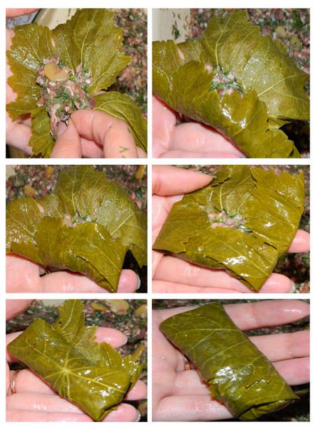 Kaip virti dolma namuose Kaip virti dolma namuose