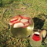 Sangrijos vyno recepto nuotrauka