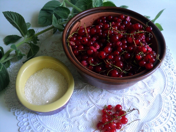Kaip užšaldyti raudonųjų serbentų