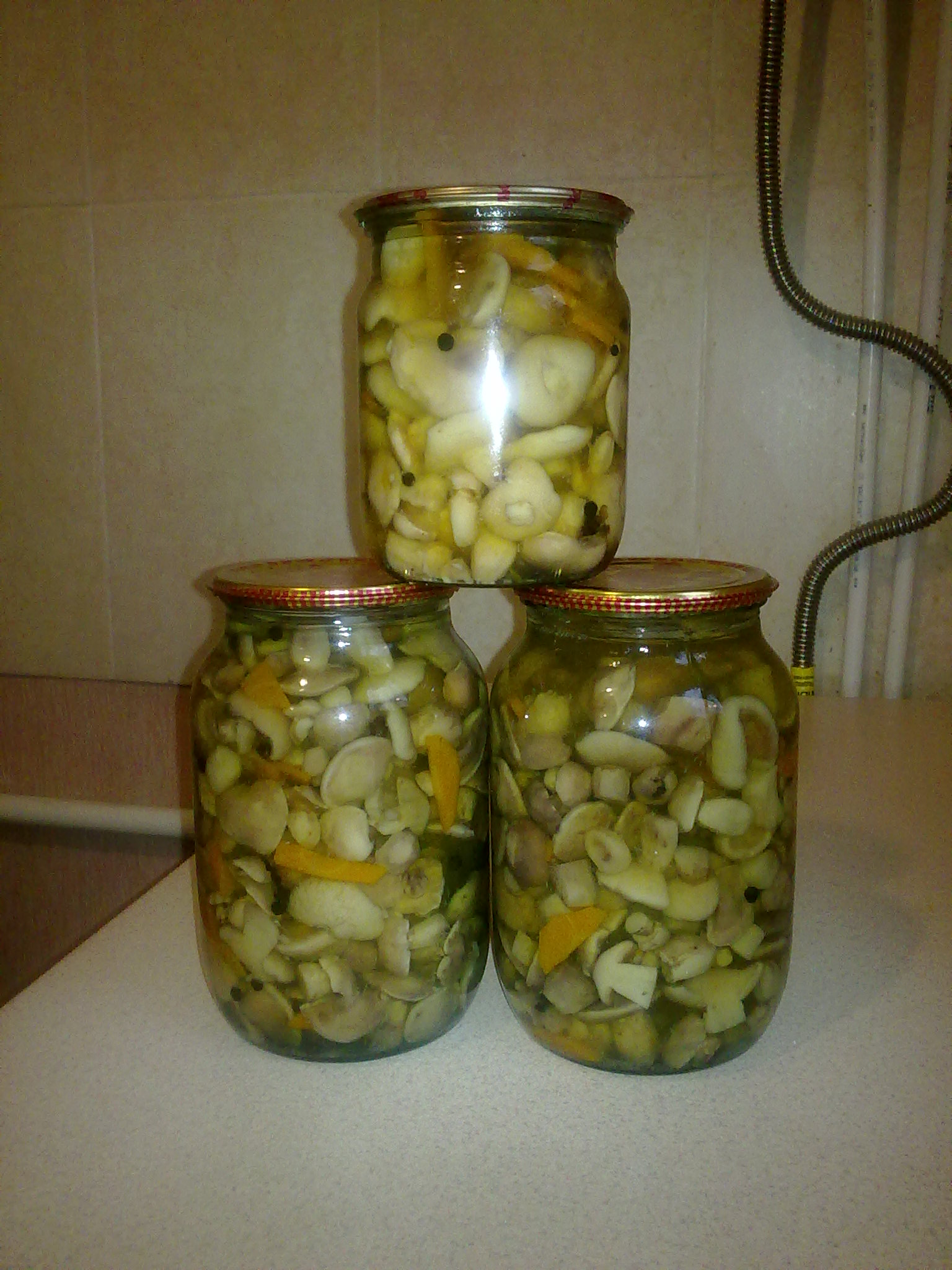 Marinuoti pasukos