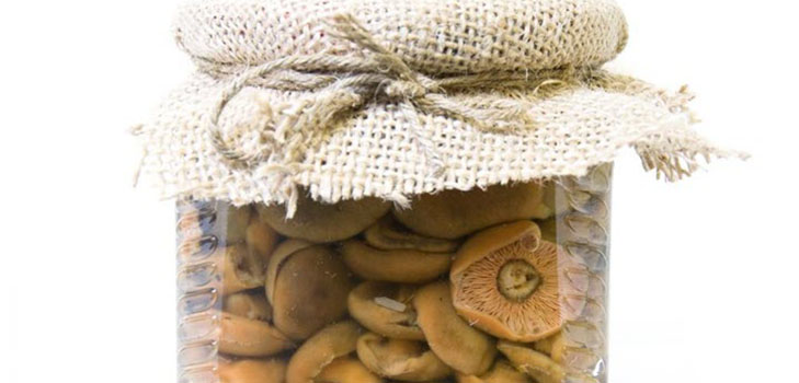 Žiemos rožikai - receptai užšaldyti, marinuoti Žiemos rožikai - receptai užšaldyti, marinuoti