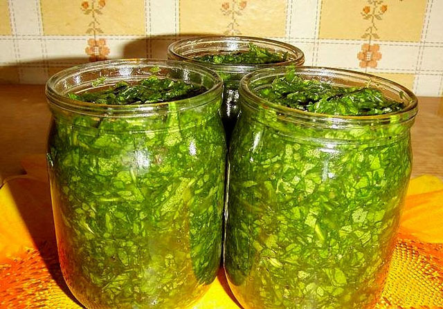 Kaip žievelę ištirpinti žiemą druska Kaip žievelę ištirpinti žiemą druska