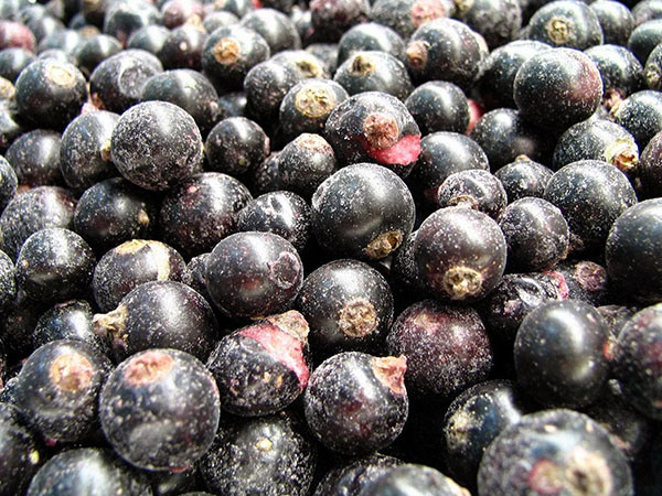 Serbentų su cukrumi žiemai be virimo, Pyatiminutka, sušaldytos. Currant receptas, tarkuotas su cukrumi žiemai (be šaldytuvo)