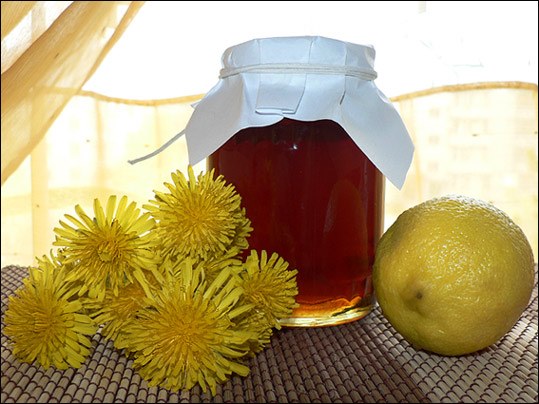 kiaulpienis ir citrina