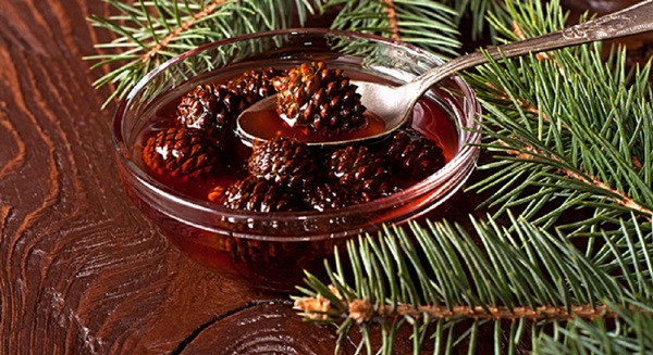 Originalus džemas iš pušies kūgių