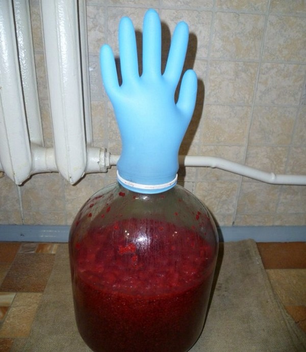 Vyno iš aviečių namuose - paprastų receptų