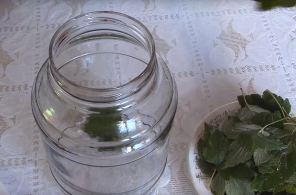 Obuoliai žiemai bankuose - ruošiniai ir receptai - mirkyti ir pleištai, kompotas, uogienė, pyragas. Kaip laikyti obuolius žiemą namuose