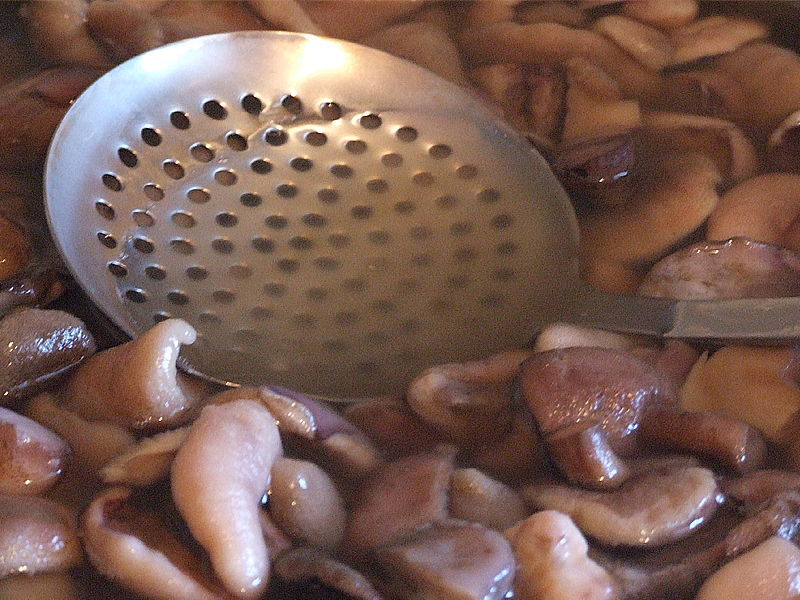 Riebi ruošiniai
