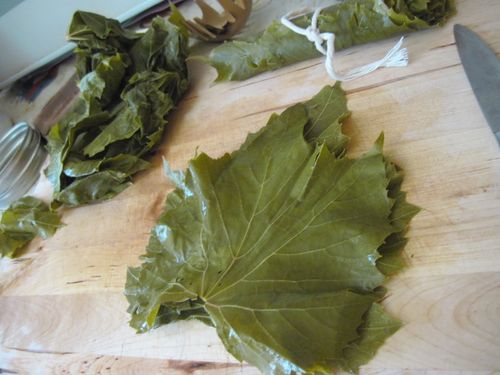 Kaip skonio vynuogių lapus dolma